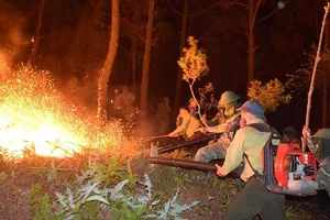 Rừng ở 5 tỉnh miền Trung bị cháy