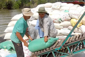 Gắn camera cho nông sản Việt