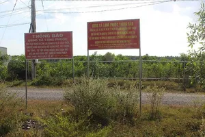 Quyết liệt ngăn các dự án ma của Alibaba