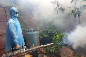 Lo ngại bùng phát dịch sốt xuất huyết diện rộng