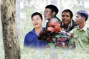 Kỳ vọng tòa phúc thẩm dũng cảm xử đúng