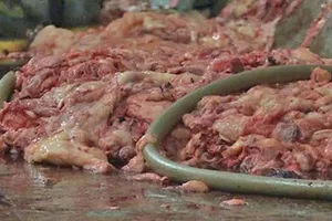 Bán thực phẩm bẩn bị xử lý thế nào?