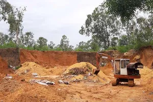 Heo nhiễm dịch mà không được tiêu hủy cả đàn