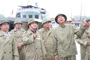 Nhiều địa phương căng mình chống bão số 3