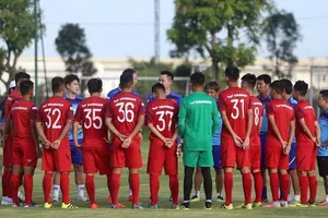 Canh bạc lớn của ông Park!