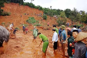 Tây nguyên xác xơ vì mưa lũ