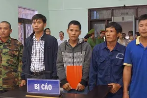 Khó hiểu tòa kết tội năm người cưa gỗ khô