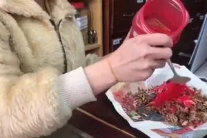 Nhiễm độc thạch tín nguy kịch vì quen xông nhà bằng thuốc bắc