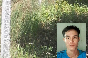 Vướng lao lý vì 25 cây trụ đá