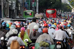 Ra đường, sợ nhất là tiếng còi xe