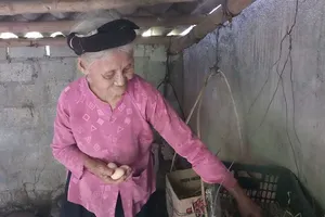 Gặp cụ bà 84 tuổi quyết xin ra khỏi diện hộ nghèo