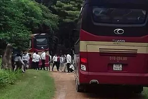 Phê chuẩn khởi tố, bắt giam CEO Alibaba Nguyễn Thái Luyện