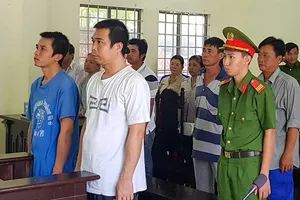 Xác minh vụ điều tra viên bị tố làm sai lệch hồ sơ