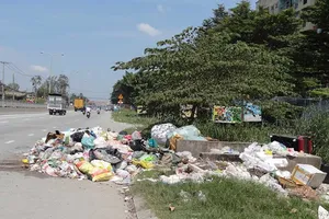 Đã dọn bãi rác giữa đường