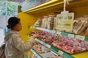 PGS-TS Phạm Khánh Phong Lan: Xin duy trì ‘xây sạch, chống bẩn’