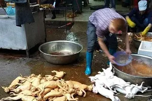 Đưa thịt chó vào diện kiểm soát giết mổ