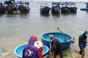 Sẽ có mưa rất lớn sau bão số 5