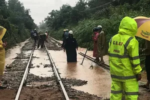 Nhiều tỉnh miền Trung xác xơ sau bão số 5