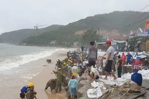 Hỗ trợ người dân xây nhà mới sau bão số 5