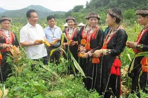  Năm 2025, thu nhập đồng bào dân tộc sẽ đạt 26-28 triệu/năm