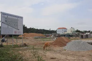 Vũng Tàu quyết thu hồi đất, xây hai trường học