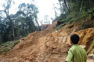 Kỳ lạ vụ án quy gỗ ra gạo để định tội