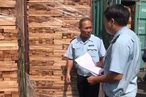 Phát hiện 111 container gỗ nghi trốn thuế tại cảng Cát Lái 
