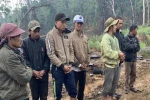 Bắt giam 9 người từ Khánh Hòa sang Đắk Lắk phá rừng