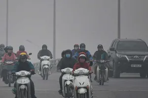 Năm 2020: Tập trung sửa 7 nội dung lớn của Luật Đất đai