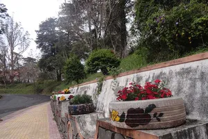 Đà Lạt: Vỏ xe hỏng thành bồn hoa