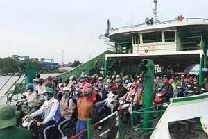 2 phương án xây cầu Cát Lái nối TP.HCM với Đồng Nai