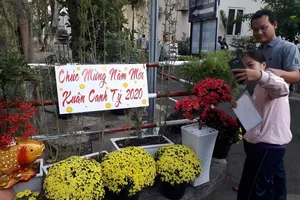 Mang mùa xuân làng quê vào bệnh viện