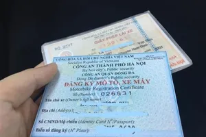 Được sử dụng bản sao giấy đăng ký xe theo Nghị định 100