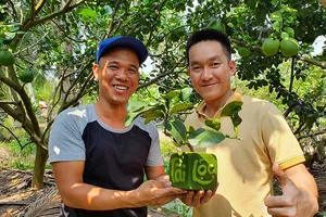 Món ngon, đặc sản bốn phương đổ về TP.HCM đón tết