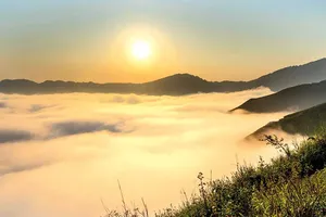 Thả mây tìm gió