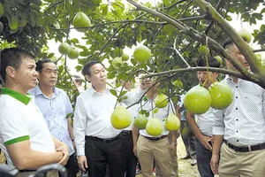 Thành quả 2019 tạo đà về đích cho năm 2020