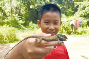 Tết vào rừng cùng con