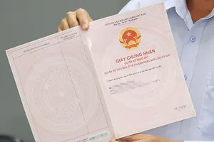 Đề nghị công an vào ‘tận ổ’ triệt nạn giấy tờ giả