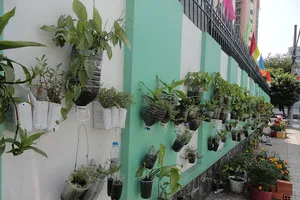 Ly, chai nhựa thành chậu hoa phủ xanh con hẻm