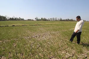 Ba thứ trưởng thay nhau ‘tuần tra’ hạn mặn miền Tây