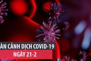 Toàn cảnh dịch COVID-19 ngày 21-2