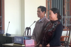 Cản cắm ranh đất, 2 vợ chồng hầu tòa