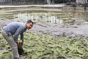 Hải Phòng: Khoanh vùng giải cứu ‘Hạ Long trên cạn’