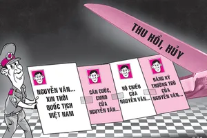 Thôi quốc tịch Việt Nam, giấy tờ cá nhân sẽ bị thu hồi