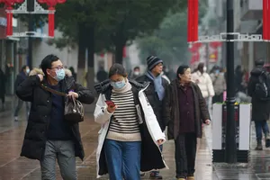 Người Việt ở châu Âu kể chuyện chống dịch COVID-19