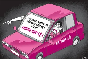 ‘Giáo viên giả’ dạy lái xe: Trách nhiệm thuộc về ai?