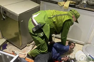 Rắc rối quy trình xử lý người bị ngáo đá