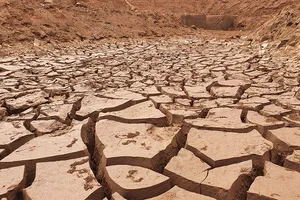 Nông dân mỏi mắt tìm nước tưới trong mùa khô