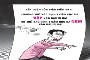 Tòa khó xử vì một… cục đá