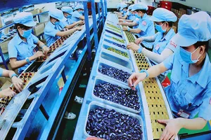 Chính phủ hỗ trợ người mất việc, ngừng việc vì COVID-19